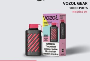 From Product Specifications to Usage Trends: Exploring High-Capacity Vozol Vapes
